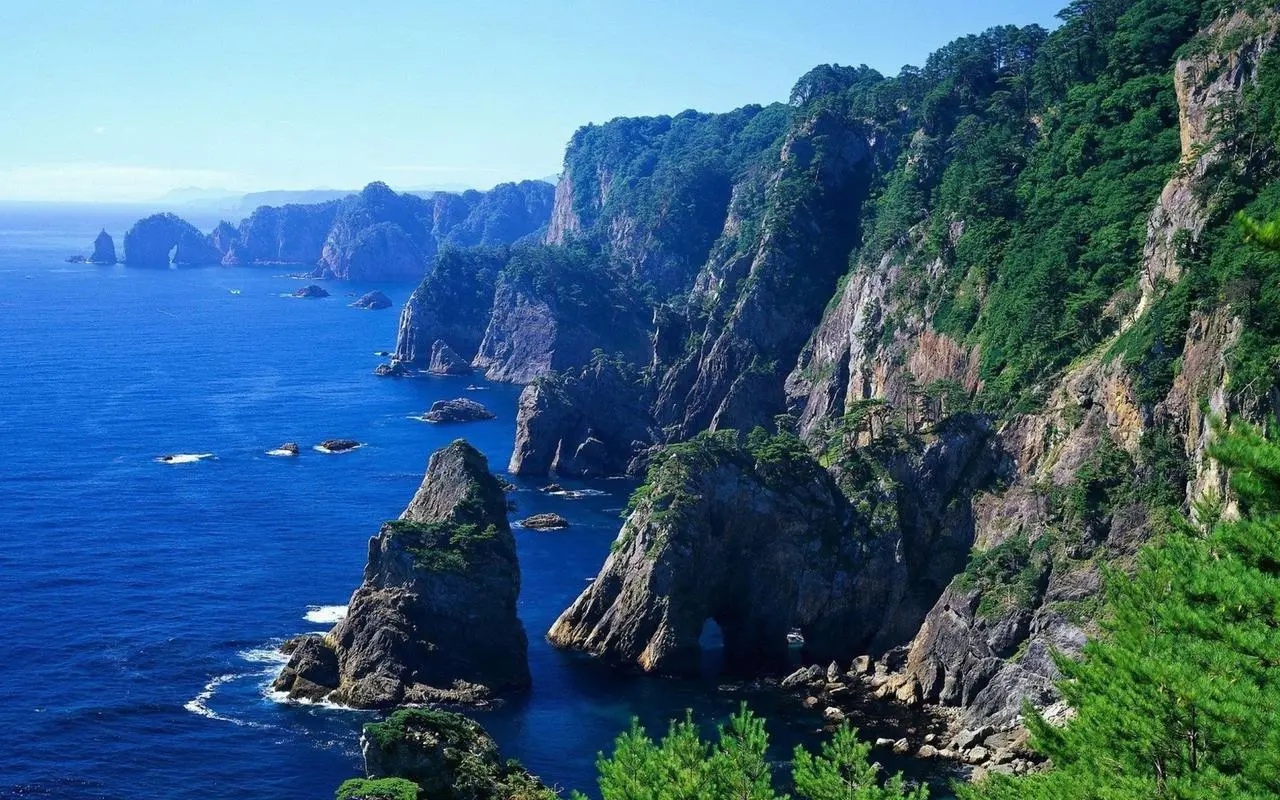 高性能高质量全自动